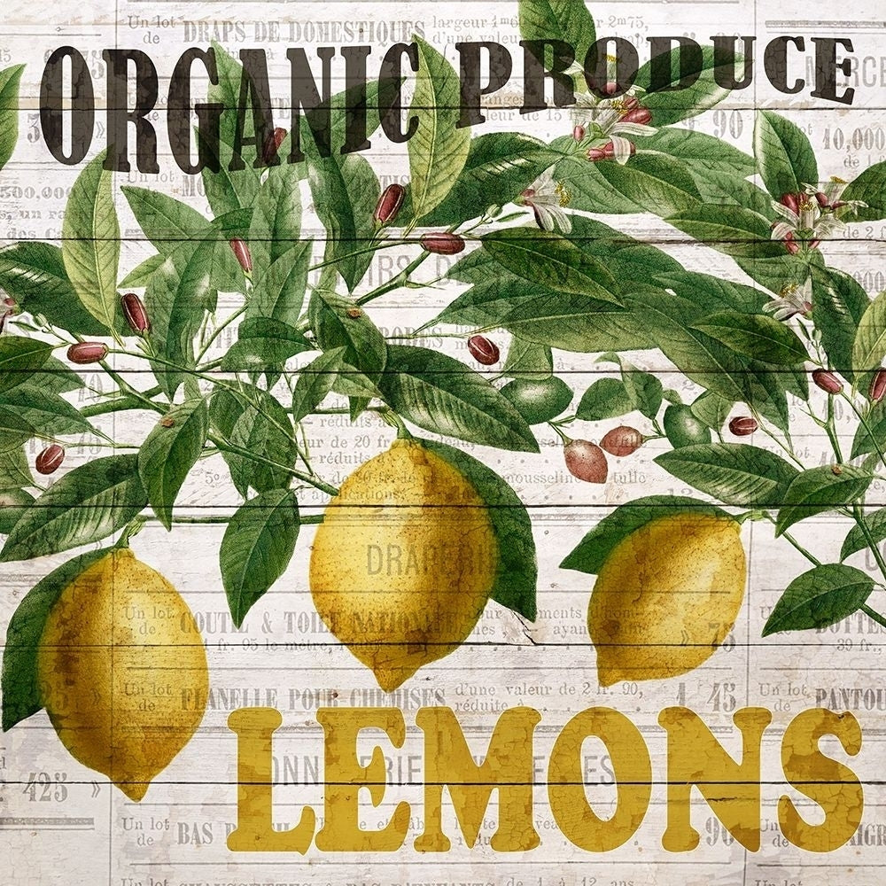 Fresh Picked Lemons Poster Print by Ann Bailey-VARPDXBASQ001B Image 1