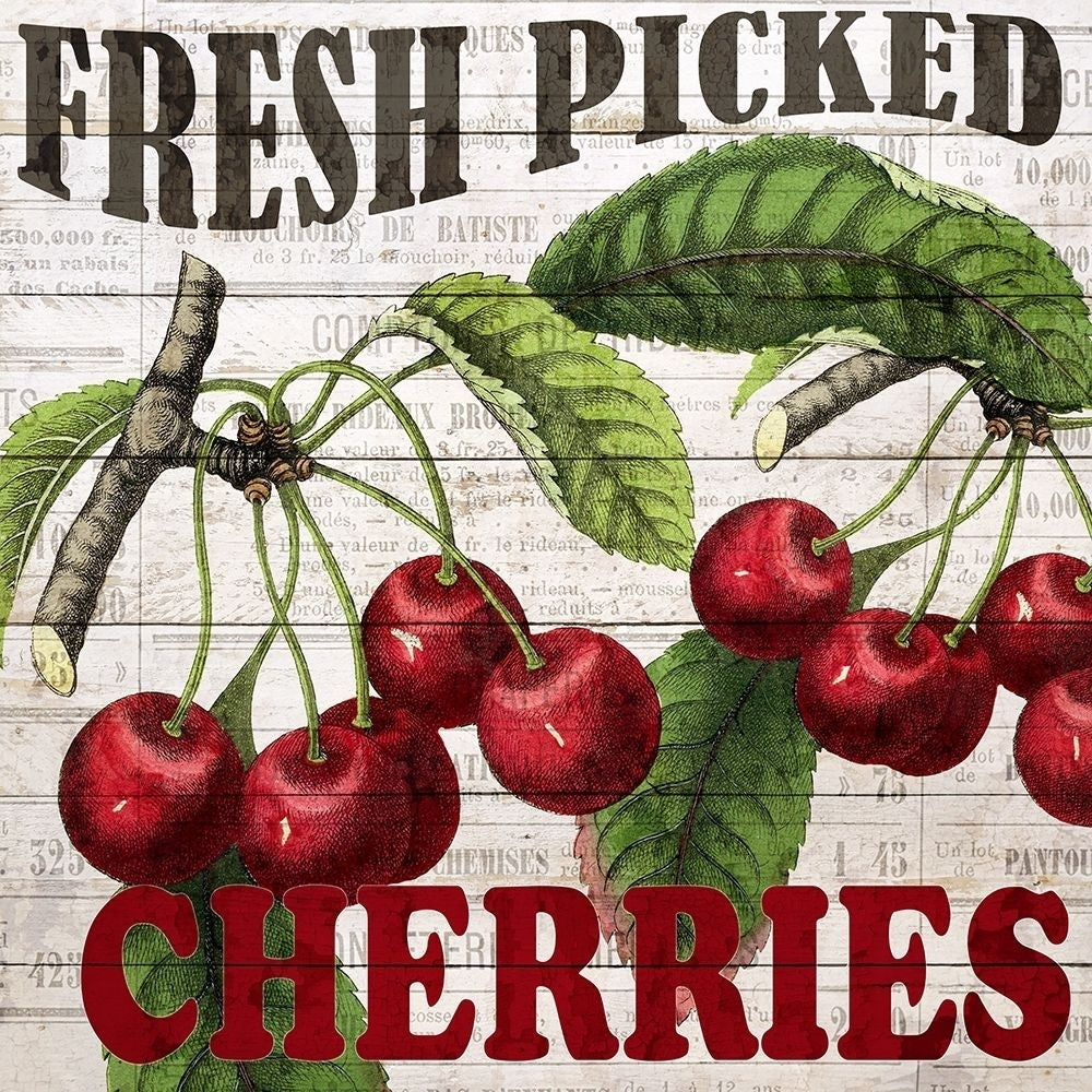 Fresh Picked Cherries Poster Print by Ann Bailey-VARPDXBASQ001A Image 1