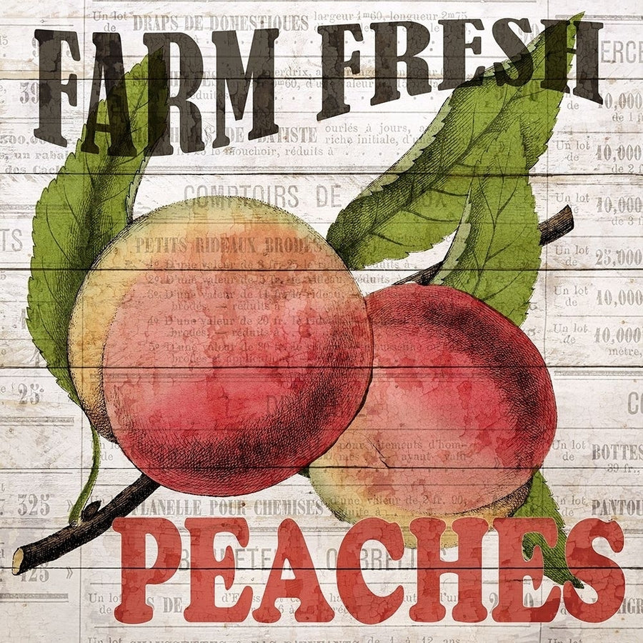 Fresh Picked Peaches Poster Print by Ann Bailey-VARPDXBASQ001C Image 1