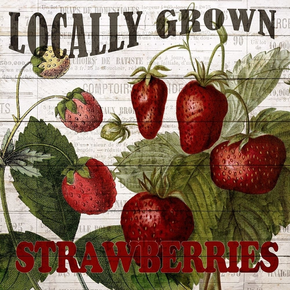 Fresh Picked Strawberries Poster Print by Ann Bailey-VARPDXBASQ001D Image 1