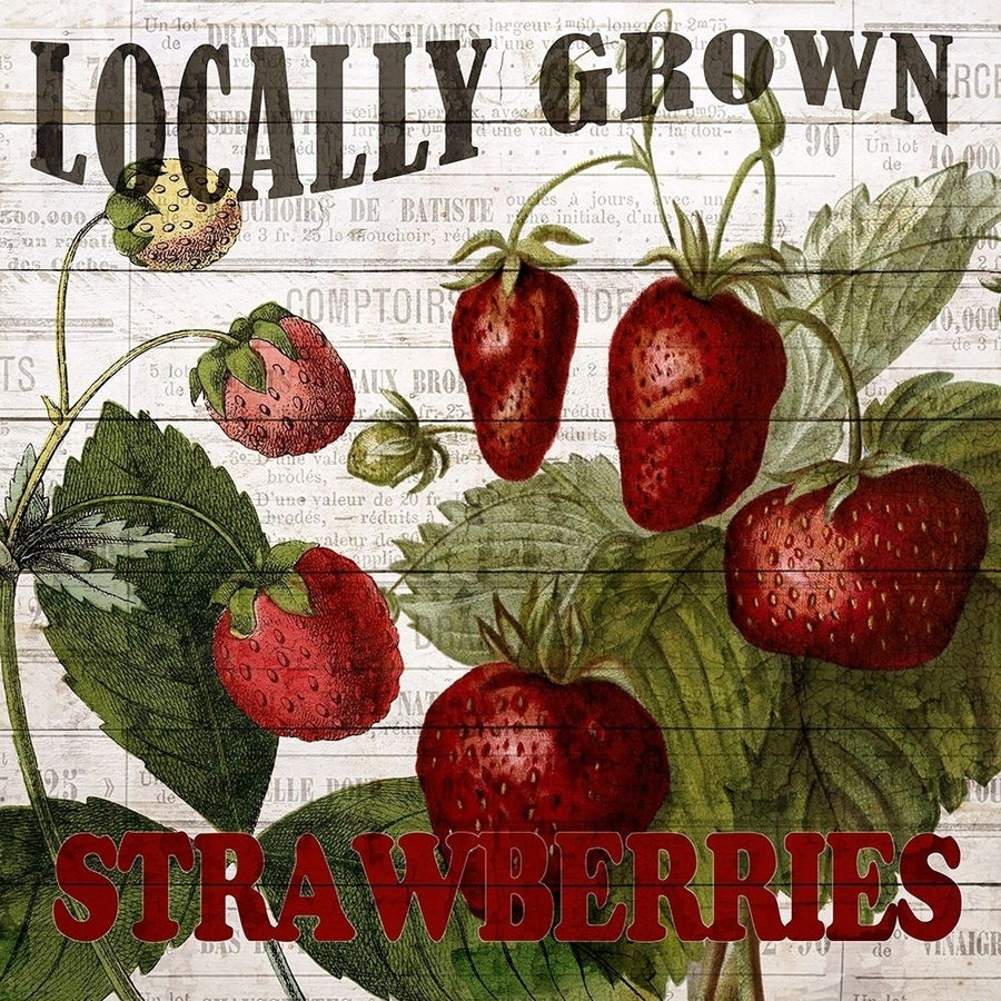 Fresh Picked Strawberries Poster Print by Ann Bailey-VARPDXBASQ001D Image 1