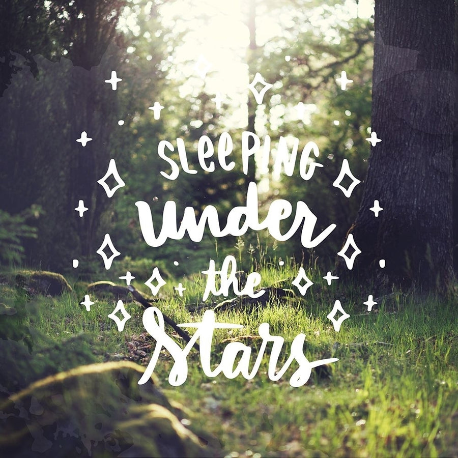 Sleeping Under the Stars Poster Print - Ann Bailey-VARPDXBASQ140C Image 1