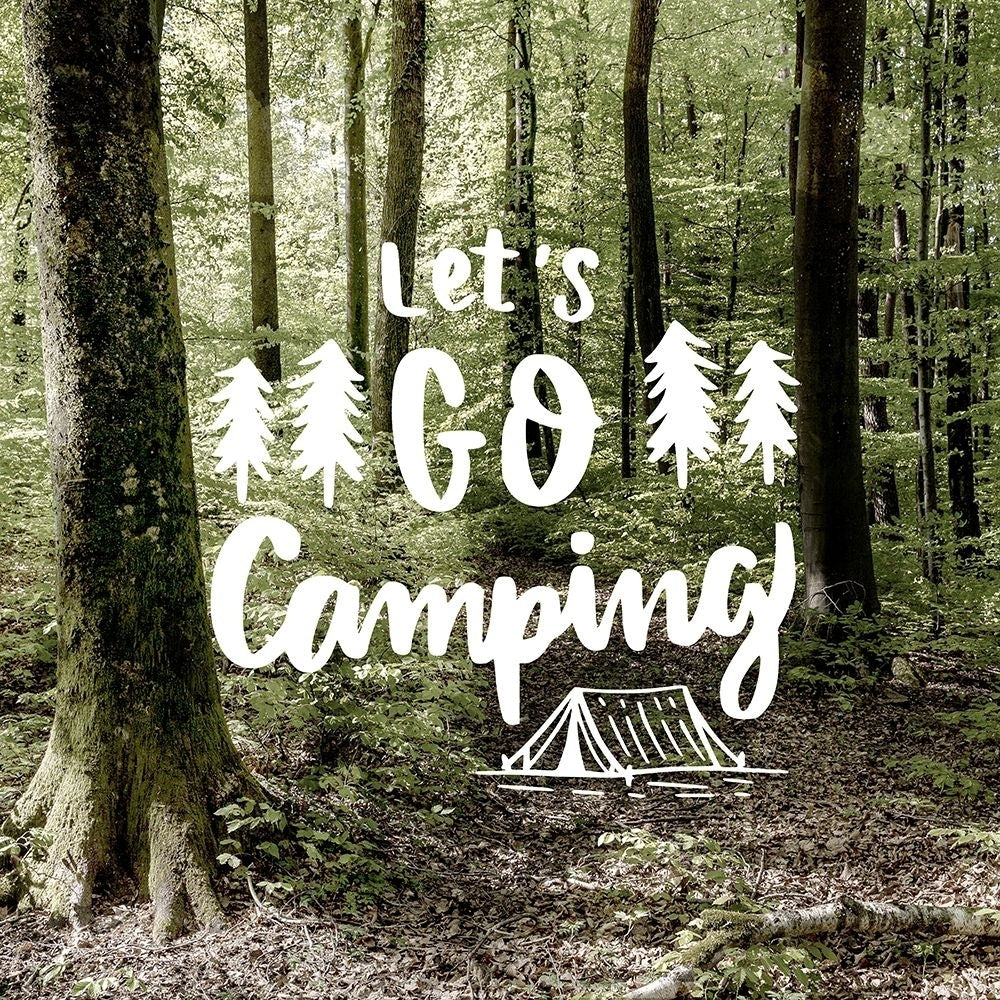 Lets Go Camping Poster Print - Ann Bailey-VARPDXBASQ140B Image 1