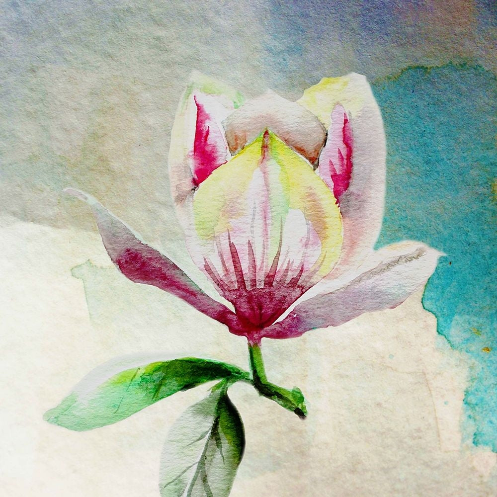 Solitary Magnolia Poster Print by Boho Hue Studio Boho Hue Studio-VARPDXBHSSQ001C Image 1