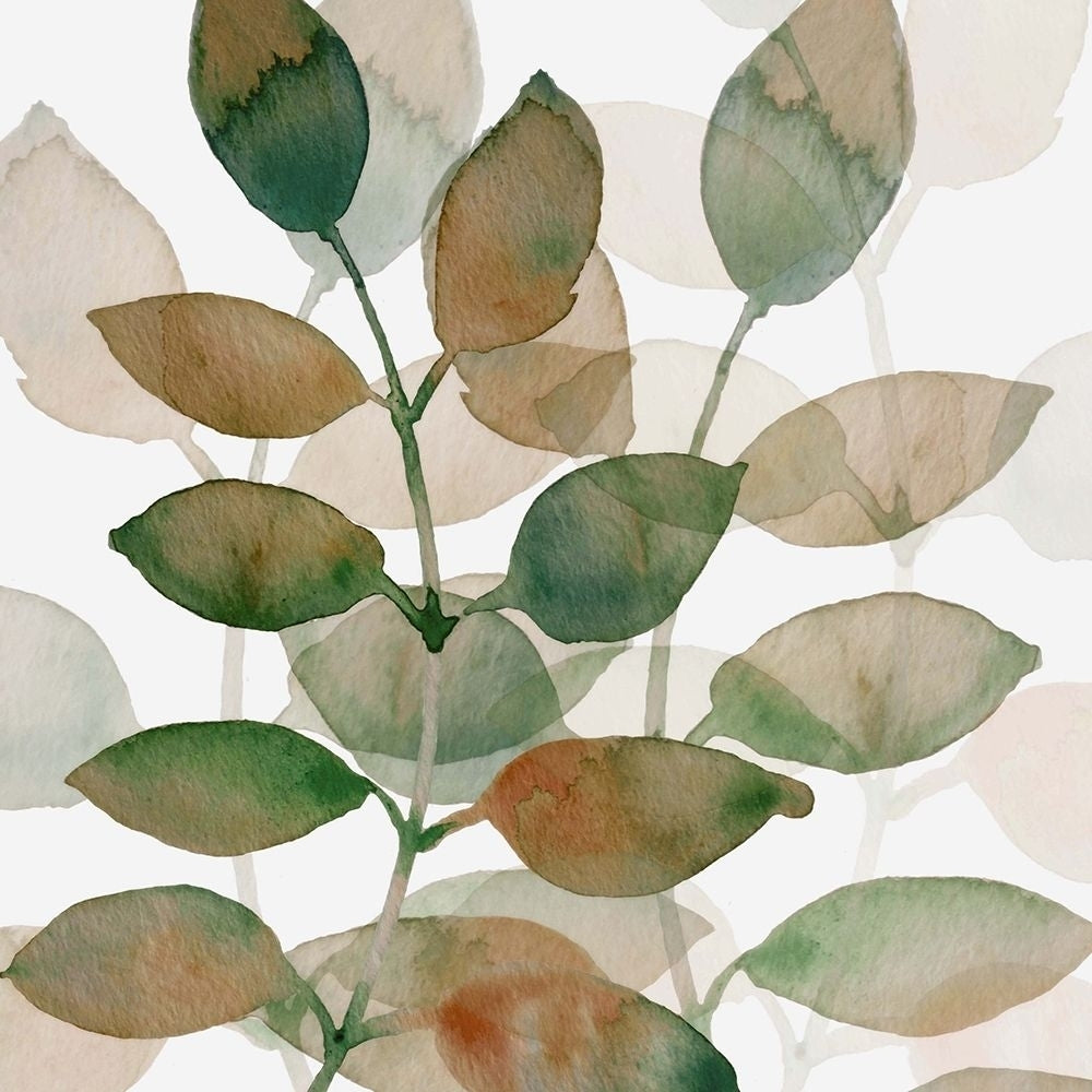 Leaf By Leaf 1 Poster Print by Boho Hue Studio Boho Hue Studio-VARPDXBHSSQ023A Image 1