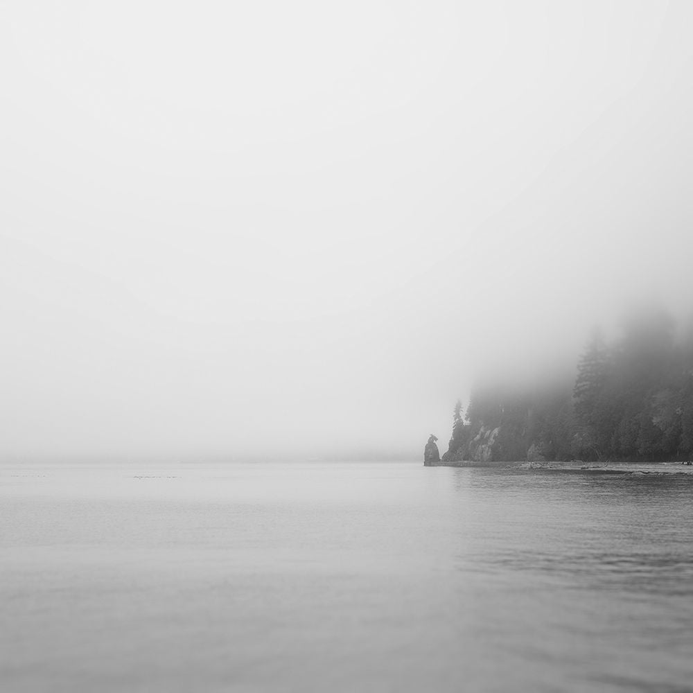 Foggy Coast 2 Poster Print - Lynann Colligan-VARPDXC1422D Image 1