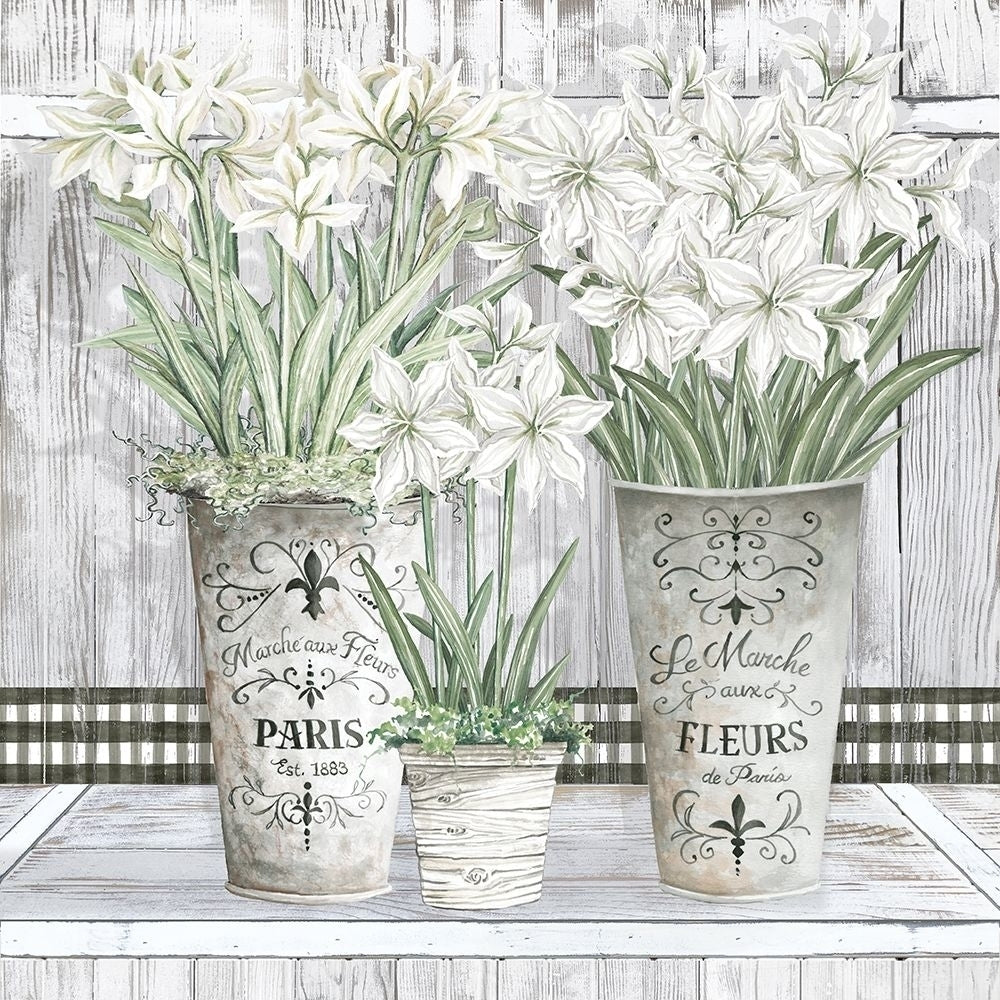 Amaryllis Multi Pots by Cindy Jacobs-VARPDXCIN2680 Image 1