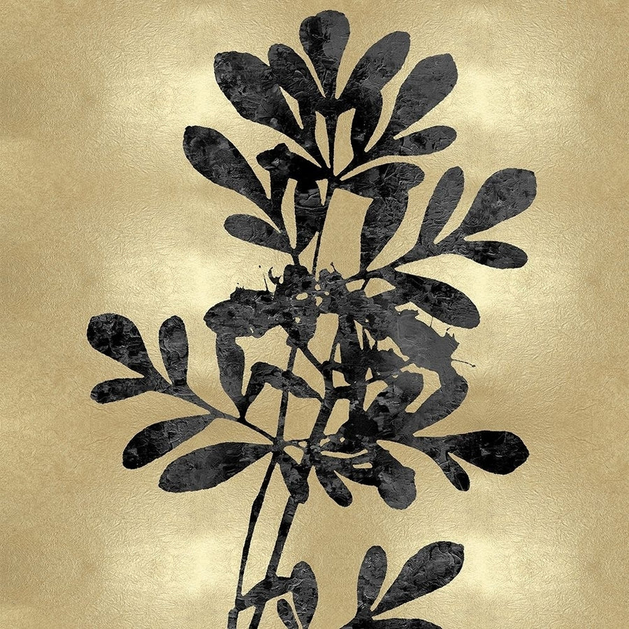 Nature Black on Gold II by Danielle Carson-VARPDXDLC117881 Image 1