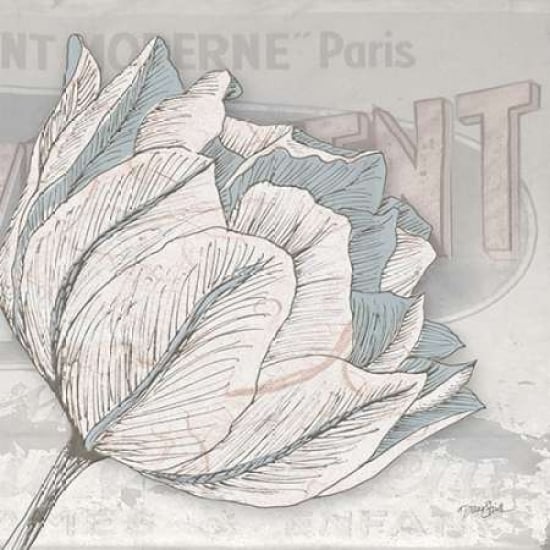 Saumur Fleur 2 Poster Print by Diane Stimson-VARPDXDSSQ288B Image 2