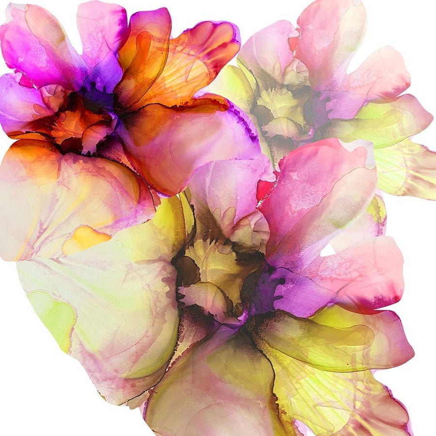 Vibrant Floral 1 Poster Print - Emma Catherine Debs-VARPDXECSQ021A Image 1