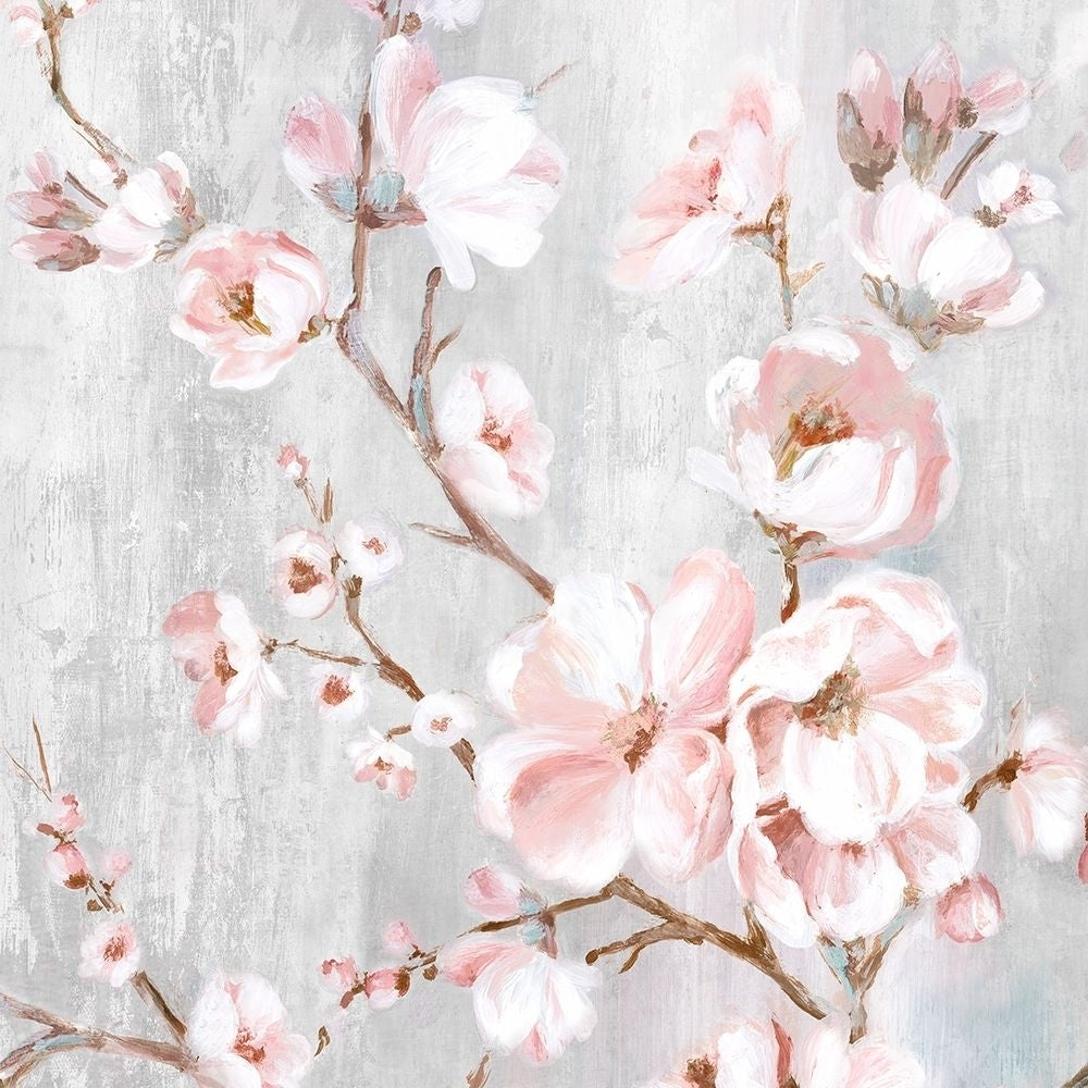 Spring Cherry Blossoms III Poster Print by Eva Watts-VARPDXEW348A Image 1