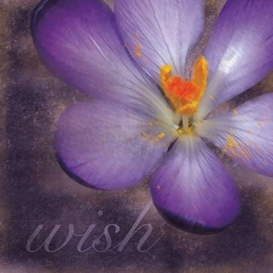 Wish Flower Poster Print by Lauren Gibbons-VARPDXGLSQ019A1 Image 2