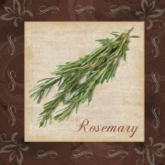 Rosemary Poster Print by Lauren Gibbons-VARPDXGLSQ036C Image 1