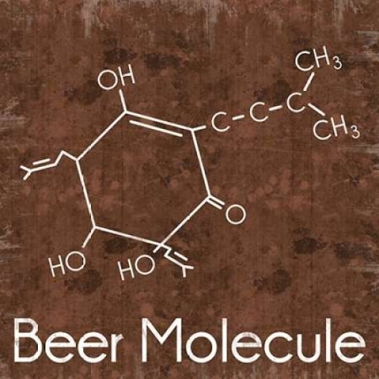 Beer Molecule 2 Brown Poster Print by Lauren Gibbons-VARPDXGLSQ118B2 Image 1