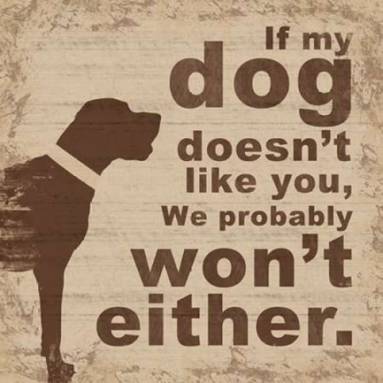 Dog Like Poster Print by Lauren Gibbons-VARPDXGLSQ146D Image 2