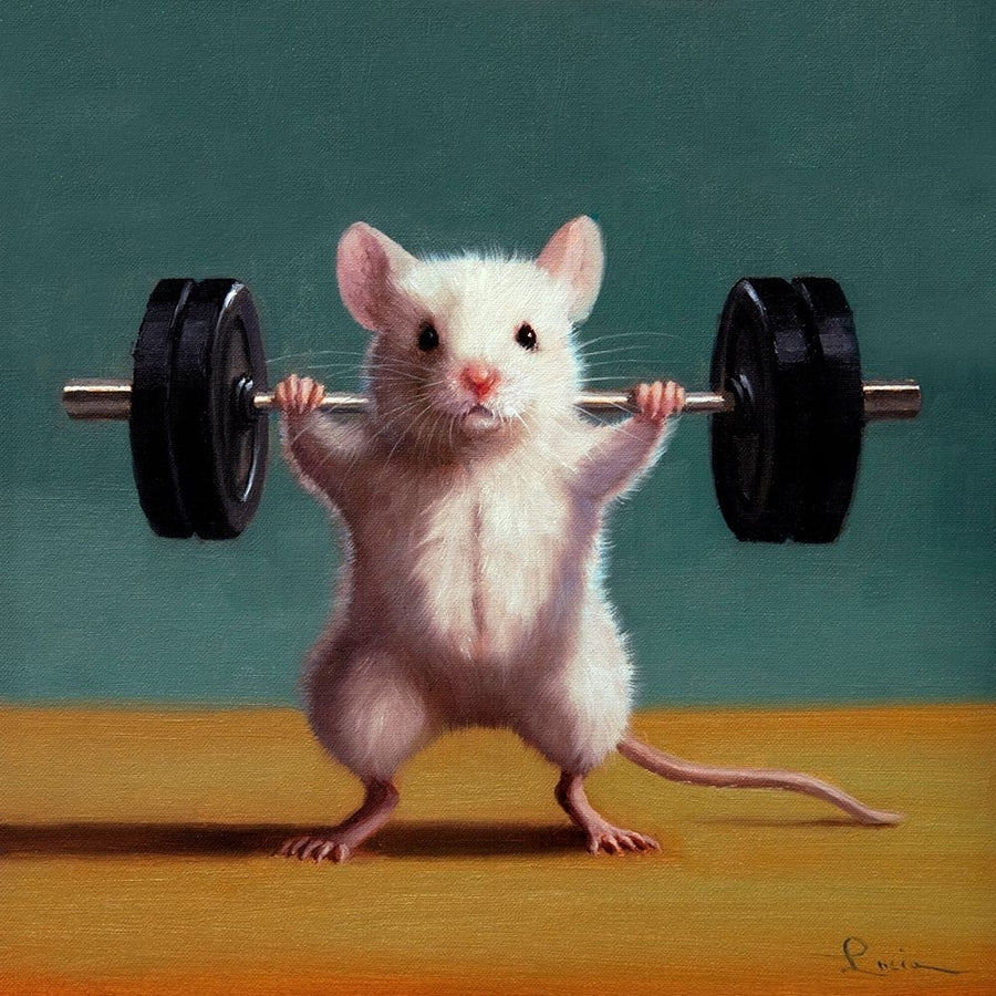 Gym Rat Back Squat Poster Print - Lucia Heffernan-VARPDXH2263D Image 1