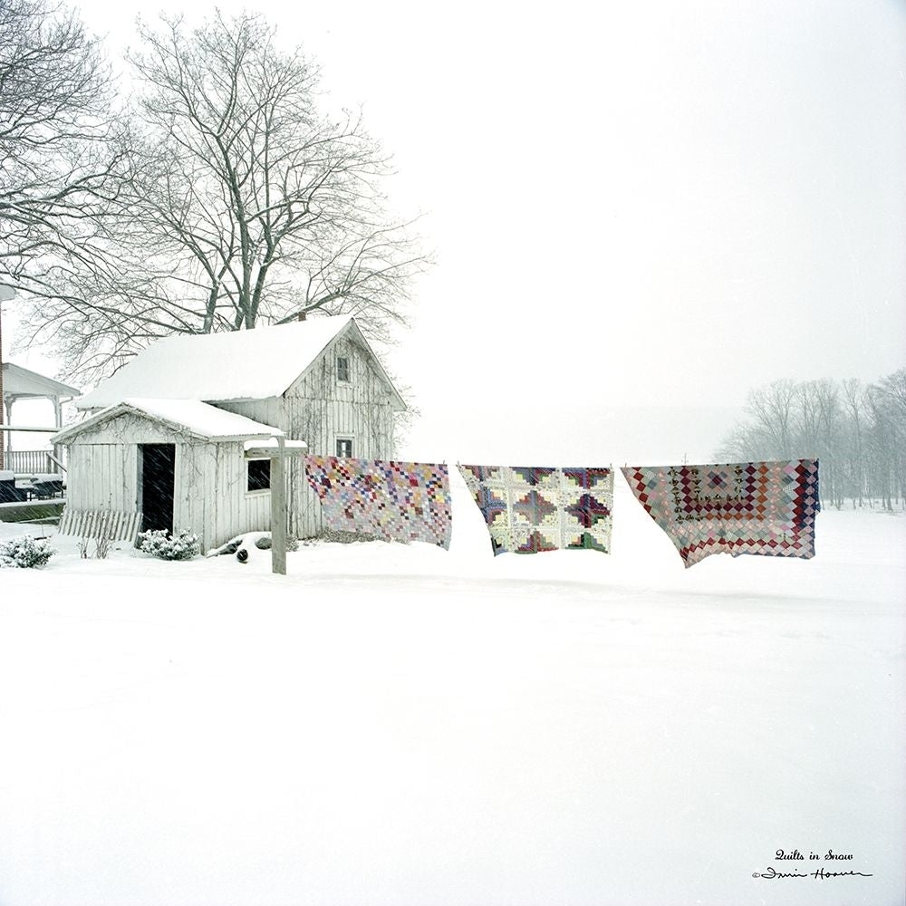 Quilts in Snow Poster Print by Irvin Hoover-VARPDXHOO100 Image 1