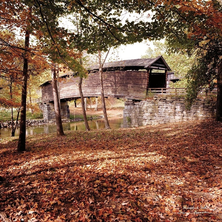 Humpback Fall Poster Print by Irvin Hoover-VARPDXHOO102 Image 1