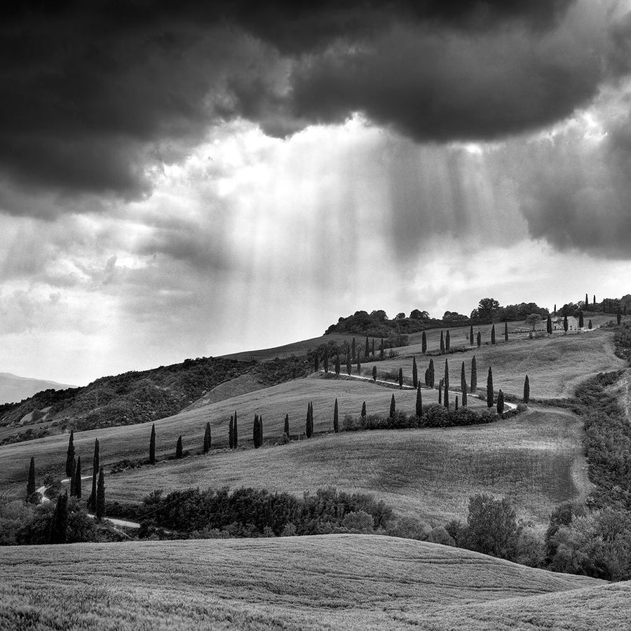 Hills of Tuscany by Maciej Duczynski-VARPDXIG3635 Image 1