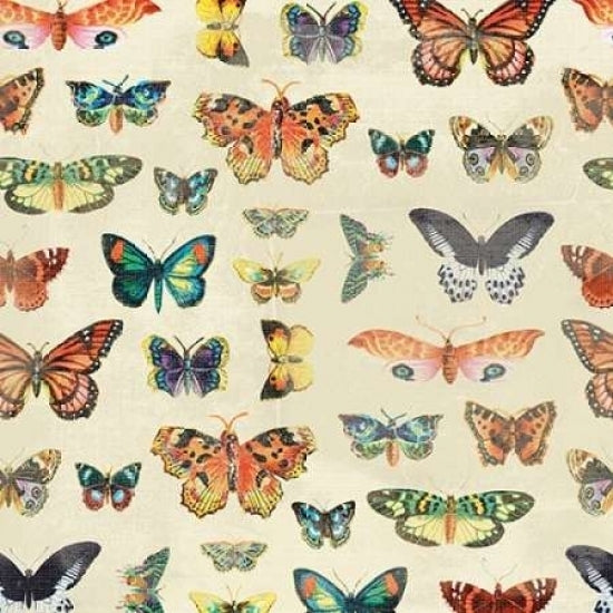 Butterfly Poster Print by Jace Grey-VARPDXJGSQ046A Image 1