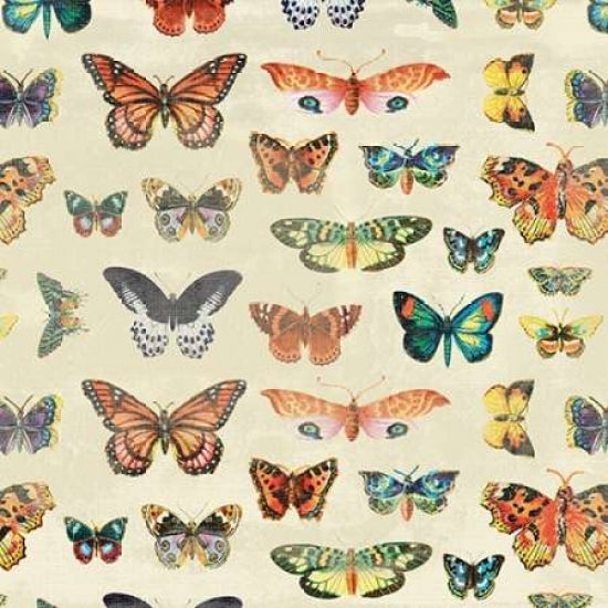 Butterfly 2 Poster Print by Jace Grey-VARPDXJGSQ046B Image 1