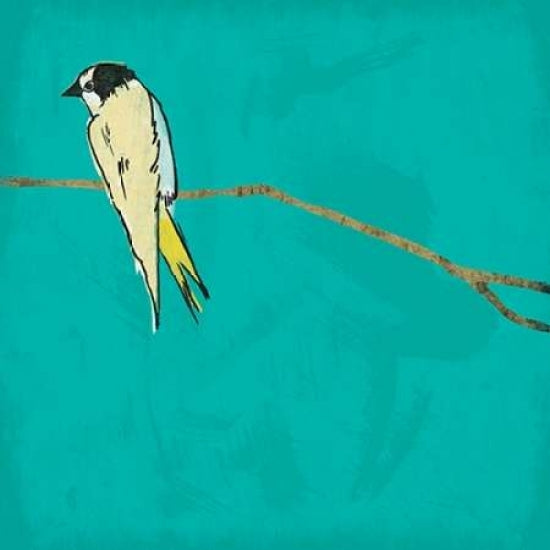 Bird on branch 4 Poster Print by Jace Grey-VARPDXJGSQ048D Image 1