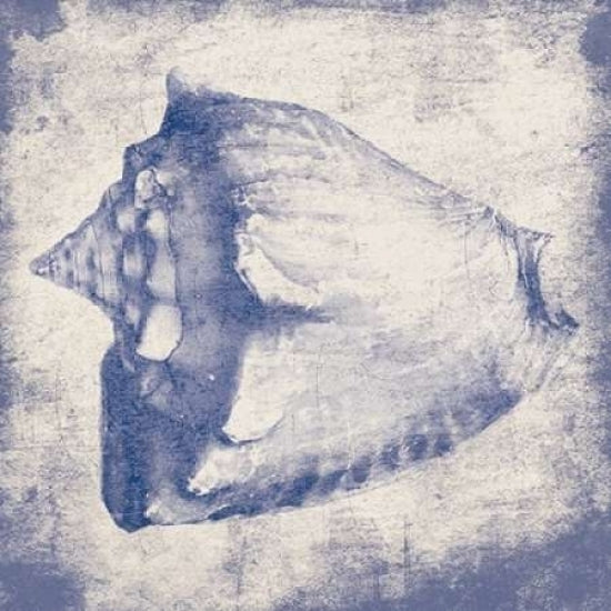 Conch shell Poster Print by Jace Grey-VARPDXJGSQ068A Image 2