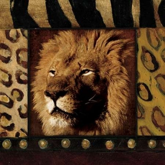 Lion Bordered Poster Print by Jace Grey-VARPDXJGSQ112C2 Image 1