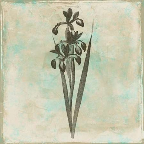 Earthy floral 1 Poster Print by Jace Grey-VARPDXJGSQ383A Image 2