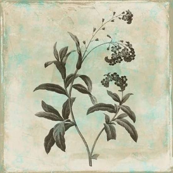 Earthy floral 2 Poster Print by Jace Grey-VARPDXJGSQ383B Image 1