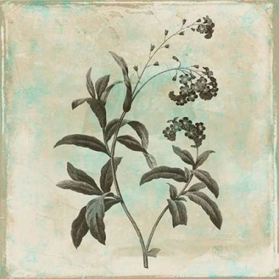 Earthy floral 2 Poster Print by Jace Grey-VARPDXJGSQ383B Image 2