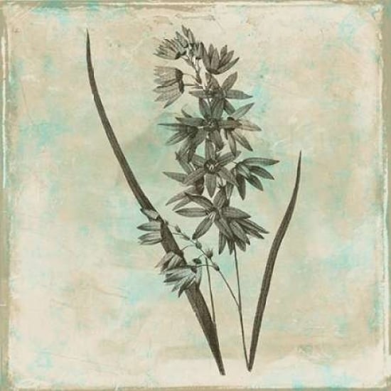 Earthy floral 3 Poster Print by Jace Grey-VARPDXJGSQ383C Image 1