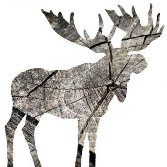 Wood Moose White Poster Print by Jace Grey-VARPDXJGSQ583A2 Image 2