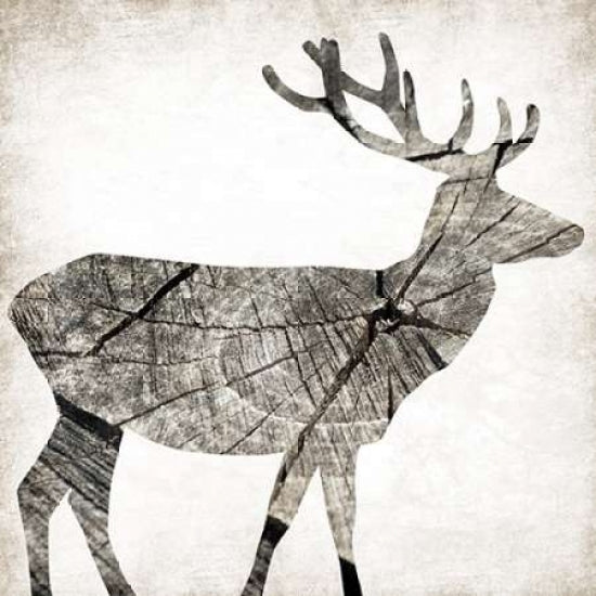 Wood Deer Poster Print by Jace Grey-VARPDXJGSQ583C Image 2