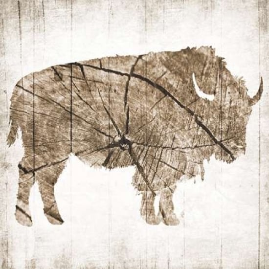 Buffalo Rings Poster Print by Jace Grey-VARPDXJGSQ639B Image 1