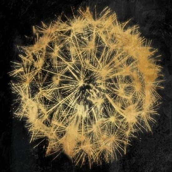 Rich Gold Dandelion Poster Print by Jace Grey-VARPDXJGSQ780A Image 2