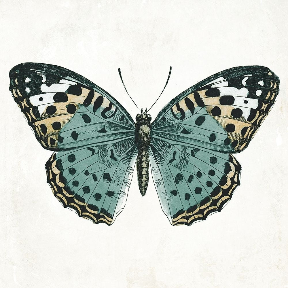 Neutral Butterfly 2 Poster Print by Jace Grey-VARPDXJGSQ995B Image 1