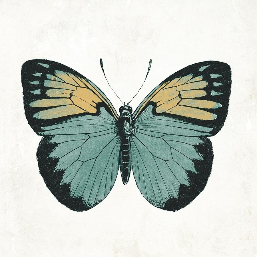 Neutral Butterfly 3 Poster Print by Jace Grey-VARPDXJGSQ995C Image 1