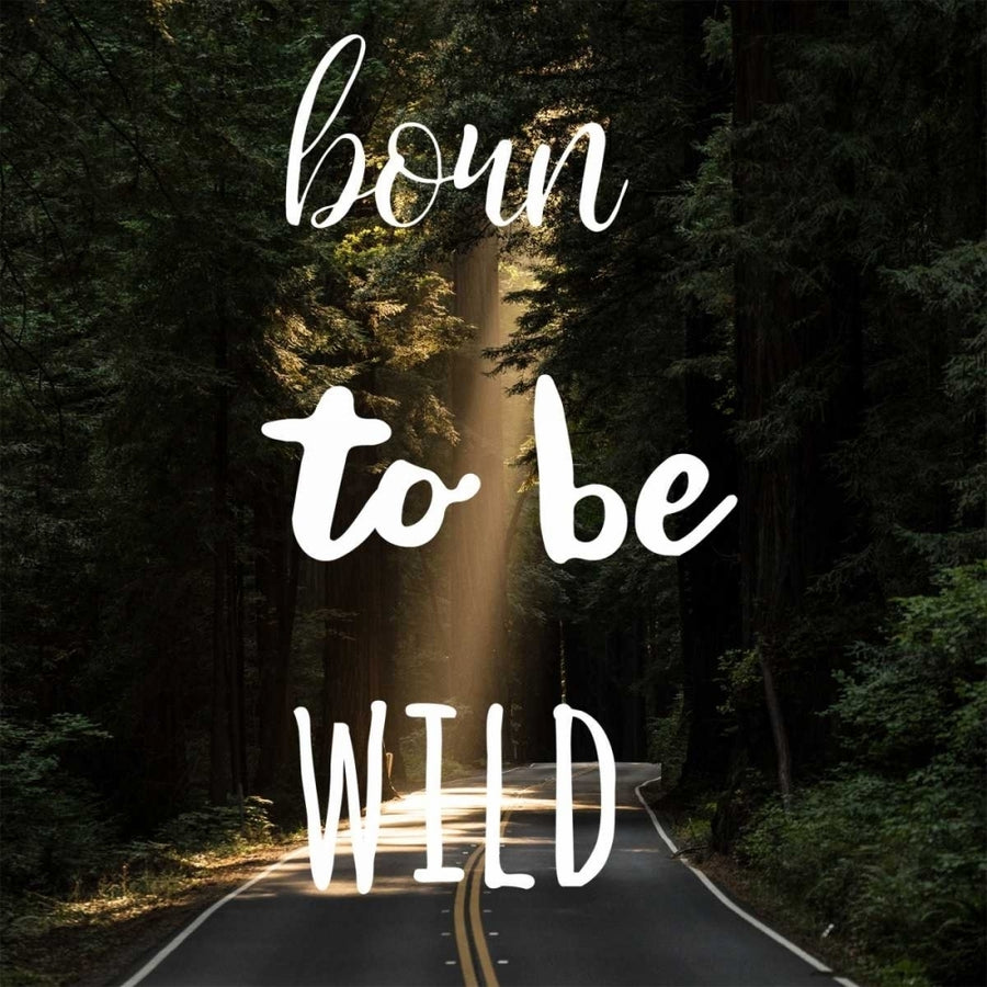 Born To Be Wild Poster Print by Matic Jelena Matic-VARPDXJMSQ064A Image 1