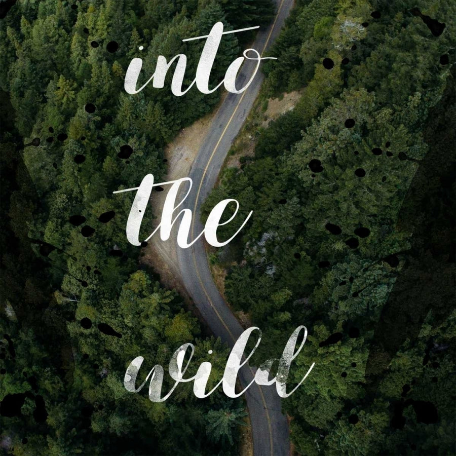 Into The Wild Poster Print by Matic Jelena Matic-VARPDXJMSQ063A Image 1