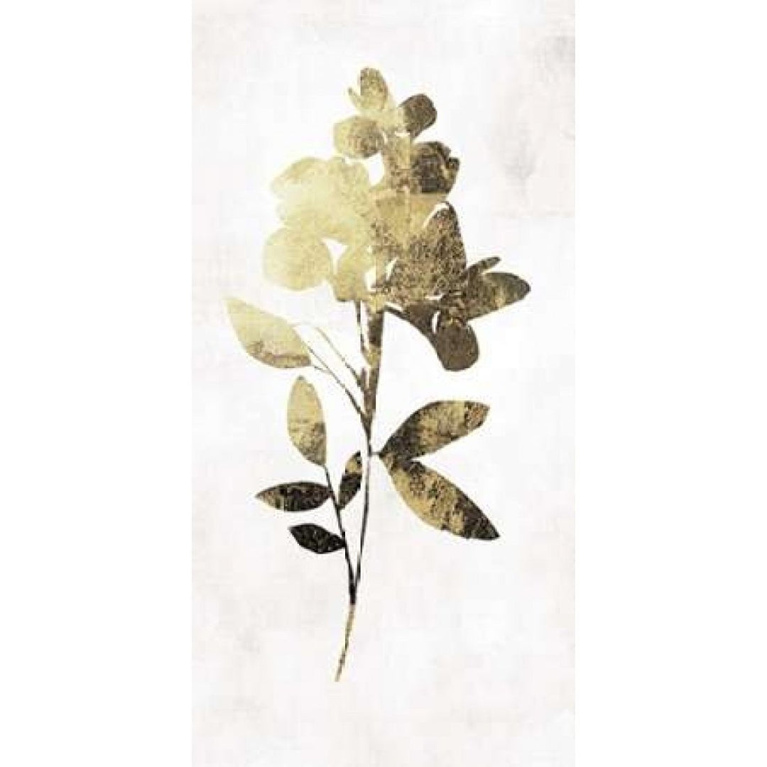 Gold Botanical I Poster Print by Asia Jensen -VARPDXJN076A Image 1