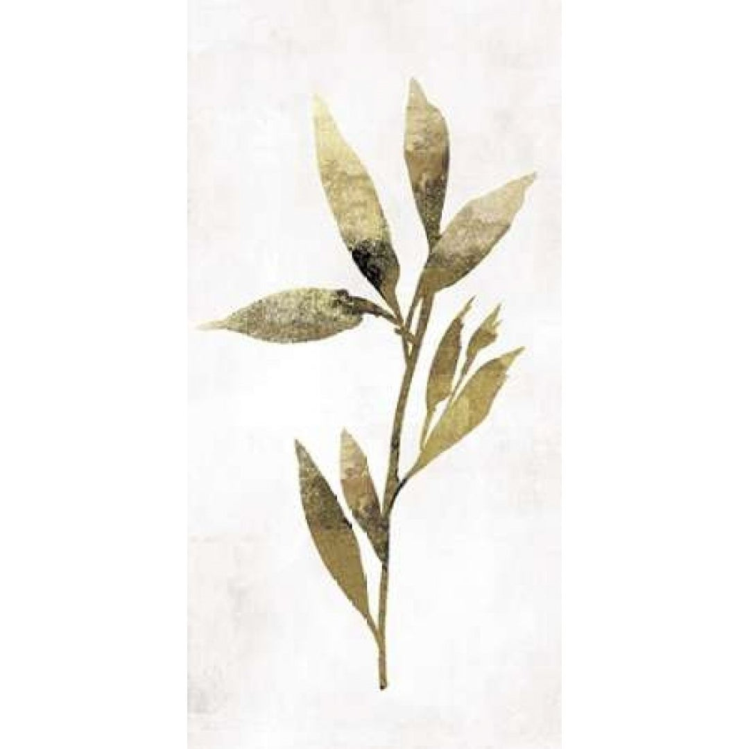 Gold Botanical IV Poster Print by Asia Jensen -VARPDXJN079A Image 2