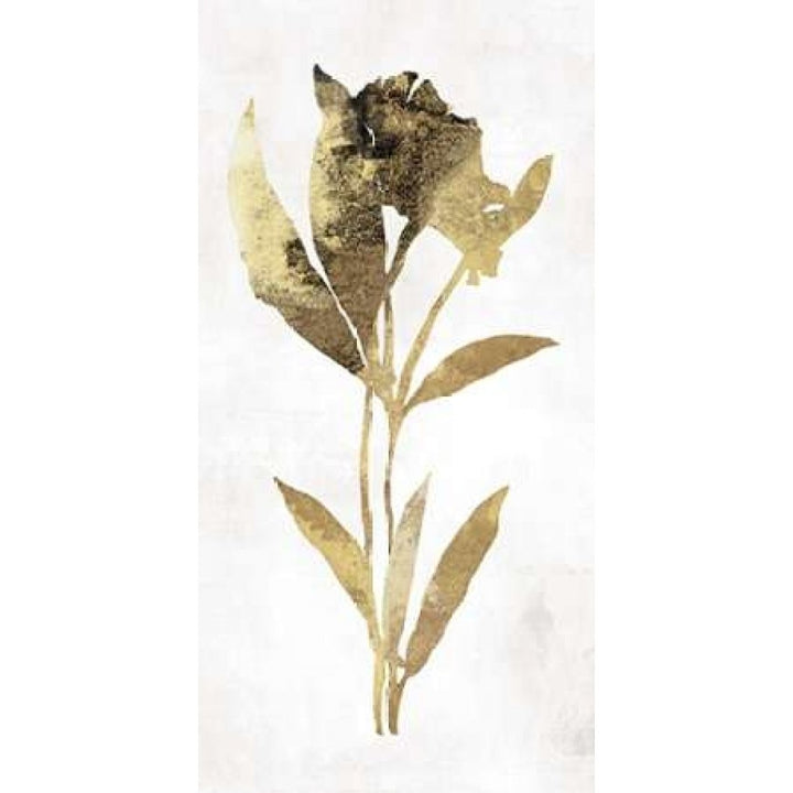 Gold Botanical III Poster Print by Asia Jensen -VARPDXJN078A Image 1