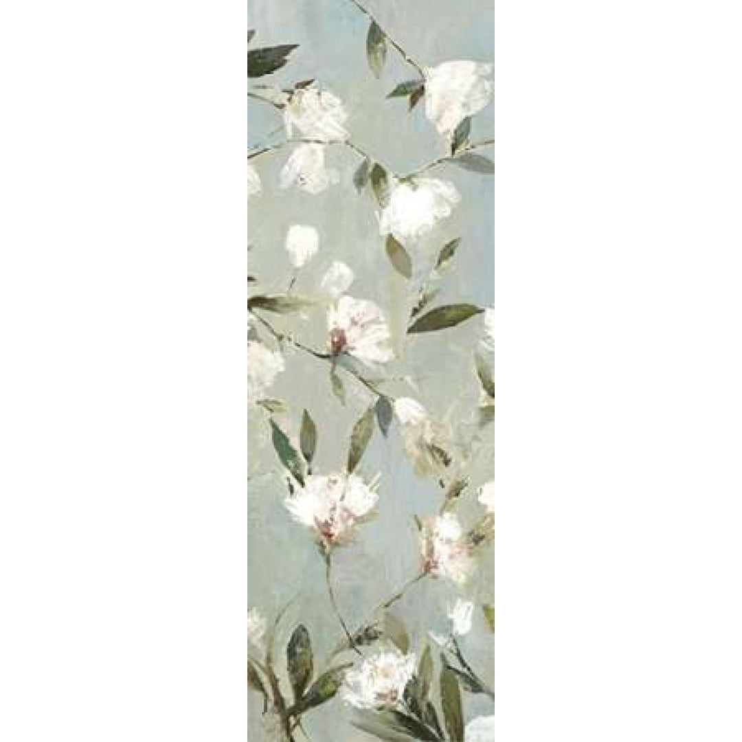 Magnolias III Poster Print by Asia Jensen -VARPDXJN109A Image 1