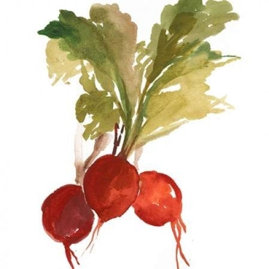 Radish Poster Print by Asia Jensen -VARPDXJN125A Image 1