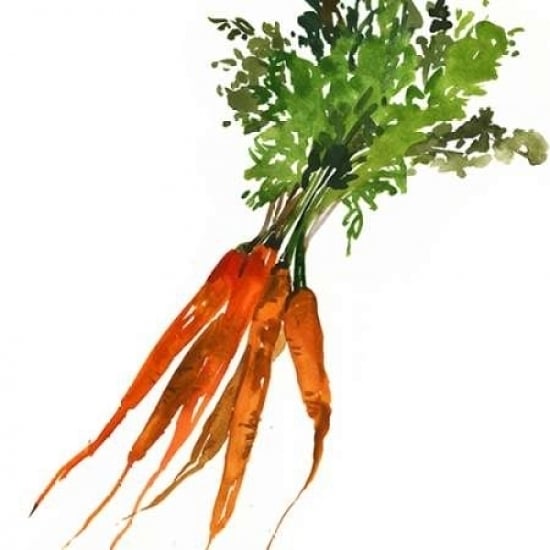 Carrot Poster Print by Asia Jensen -VARPDXJN126A Image 1