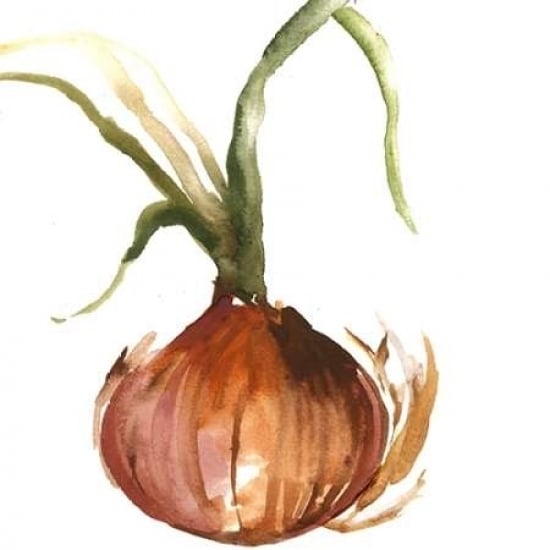 Onion Poster Print by Asia Jensen -VARPDXJN124A Image 1