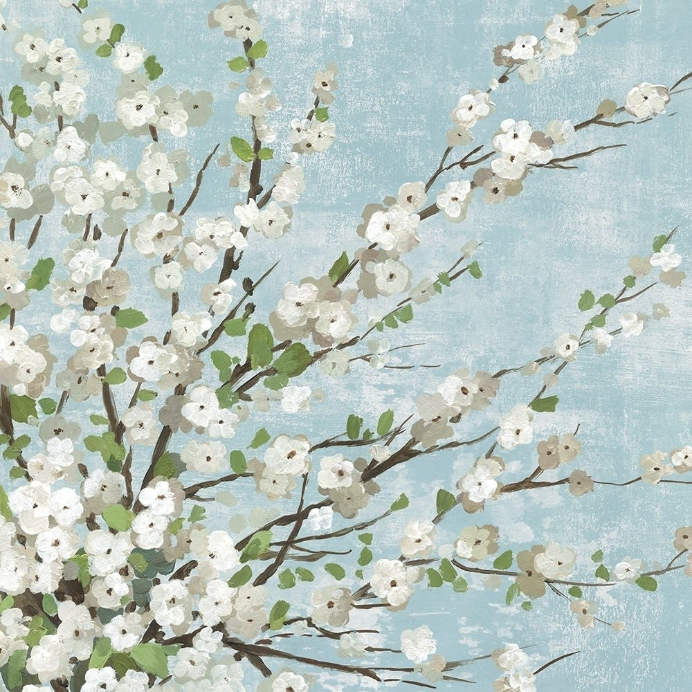 Fresh Pale Blooms II by Asia Jensen-VARPDXJN167A Image 1