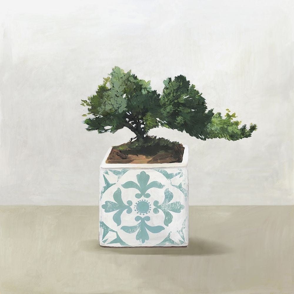 Bonsai Tree II Poster Print - Asia Jensen-VARPDXJN591A Image 1