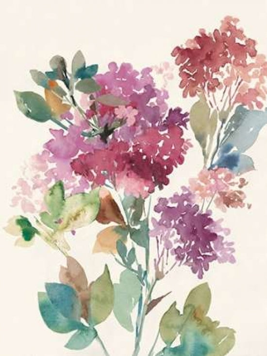 Sweet Hydrangea II Poster Print by Asia Jensen -VARPDXJSM32 Image 1